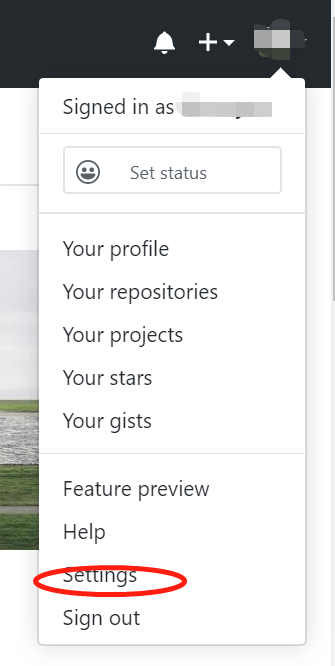 _images/github-org-settings.jpg